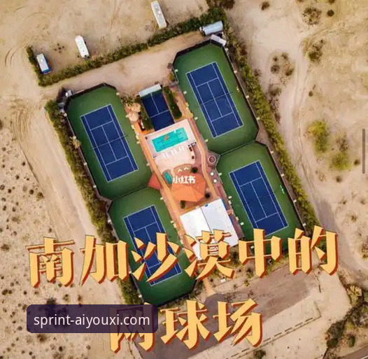 沙漠天堂的意外困局：顶尖网球选手的迪拜滞留事件详解